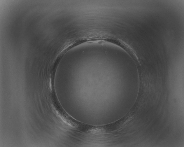 X0000050650067200506151621