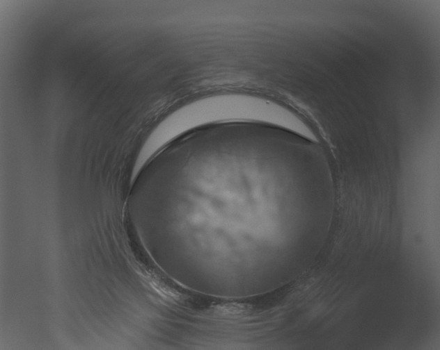 X0000050650069200506151621