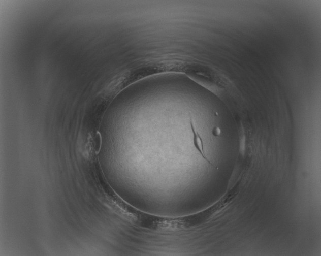 X0000050650077200506151621