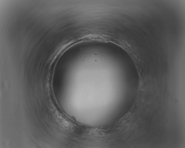 X0000050650098200506151620