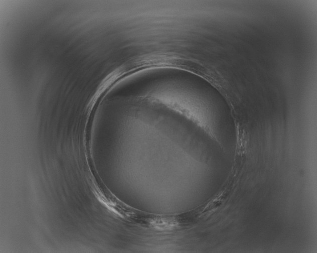 X0000050650099200506151620