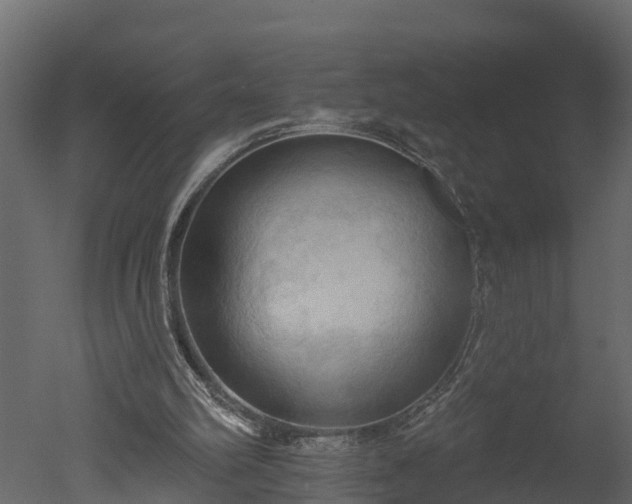 X0000050650102200506151620
