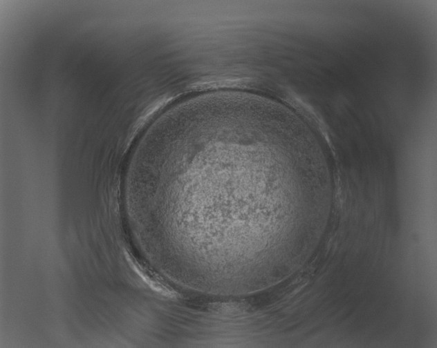 X0000050650107200506151620