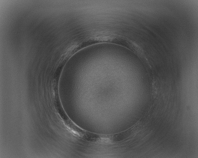 X0000050650114200506151620