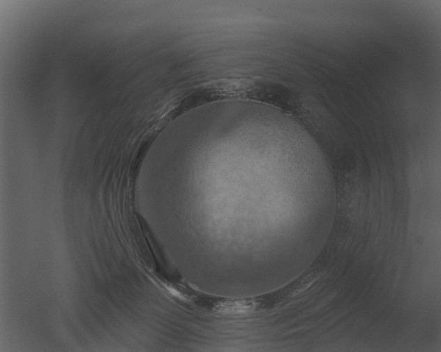 X0000050650131200506151620