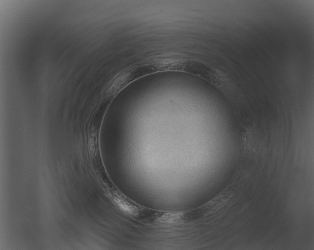 X0000050650138200506151620