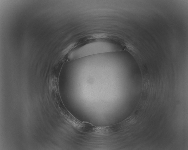 X0000050650141200506151620