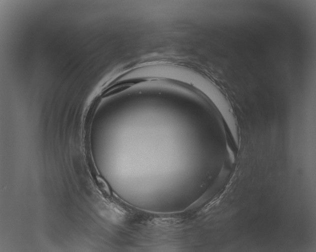 X0000050650150200506151619