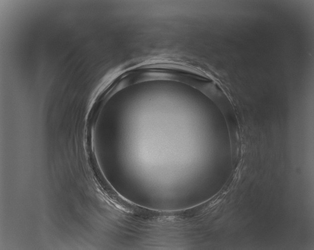 X0000050650152200506151619