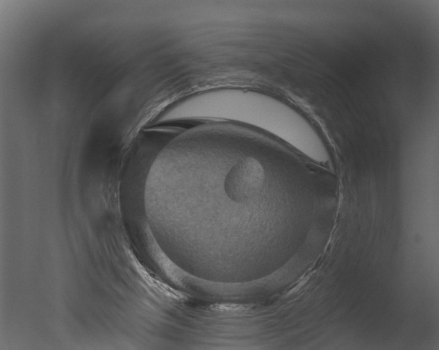 X0000050650154200506151619