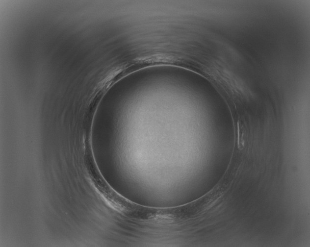 X0000050650157200506151619