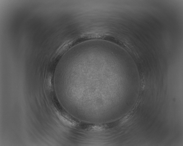 X0000050650166200506151619