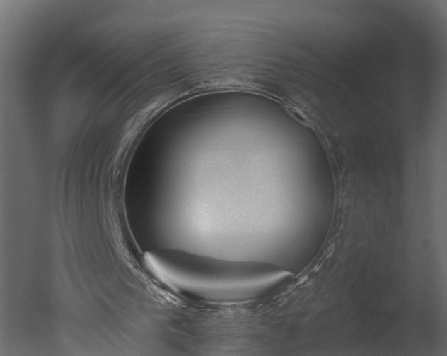 X0000050650193200506151619