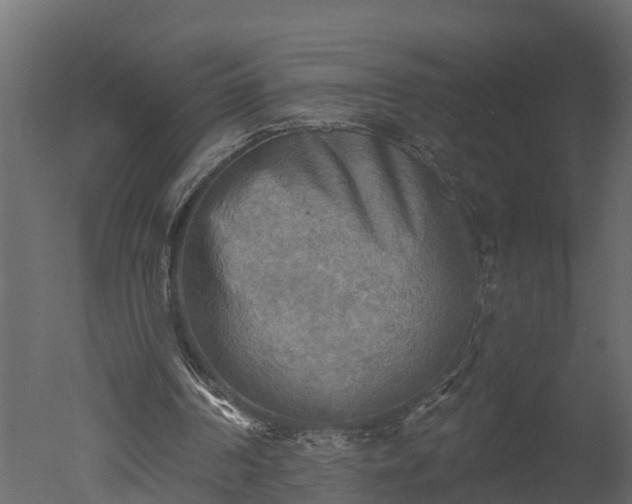 X0000050650194200506151619