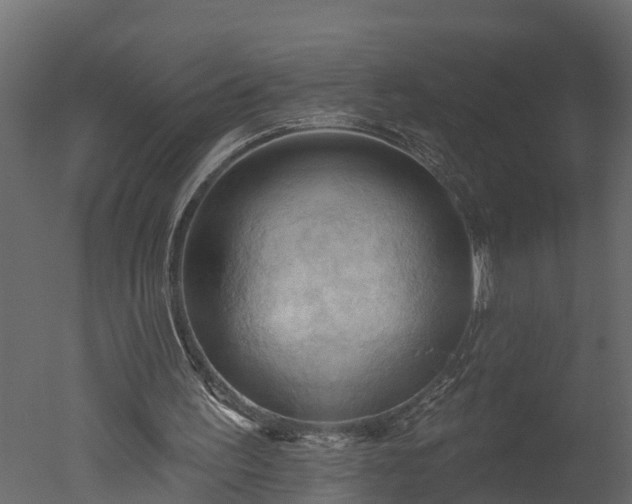 X0000050650195200506151619