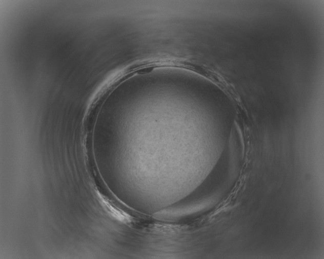 X0000050650197200506151619