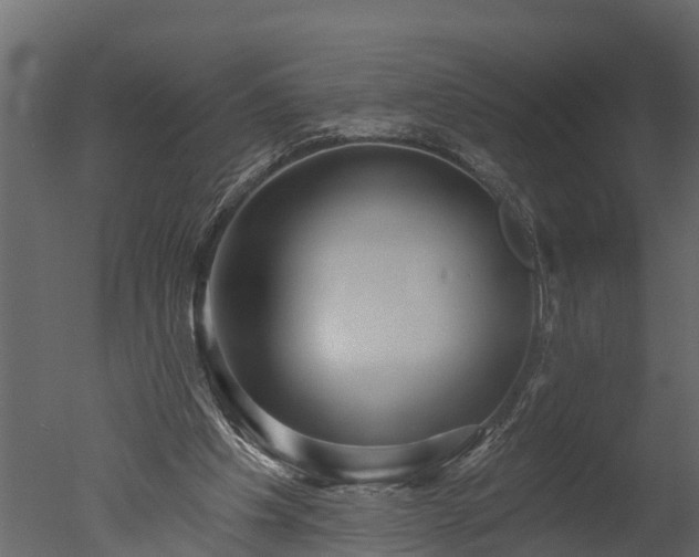 X0000050650201200506151619