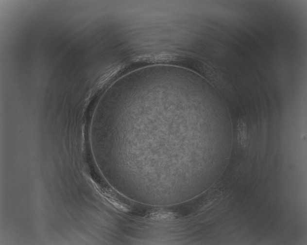 X0000050650206200506151619