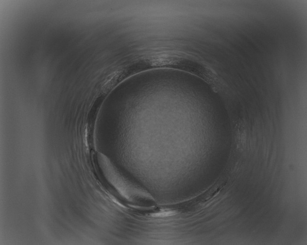 X0000050650219200506151618