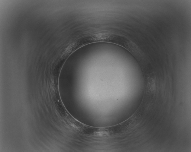 X0000050650220200506151618