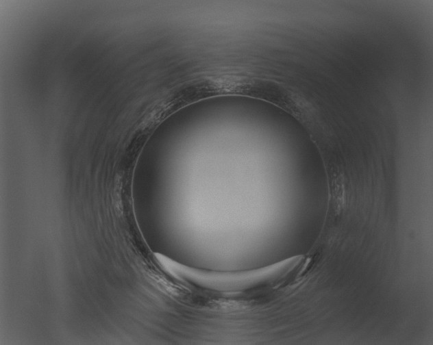 X0000050650221200506151618