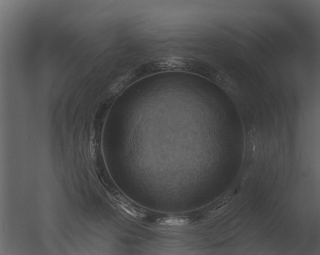 X0000050650223200506151618