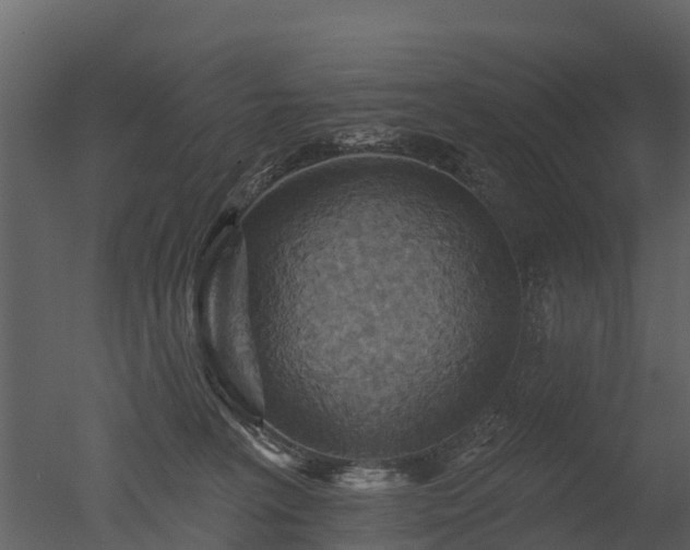 X0000050650227200506151618