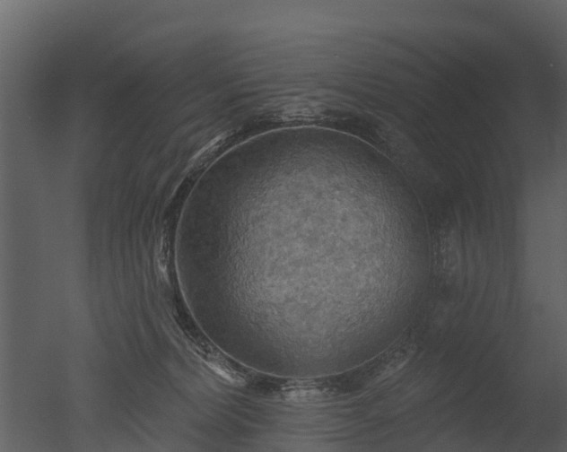 X0000050650228200506151618