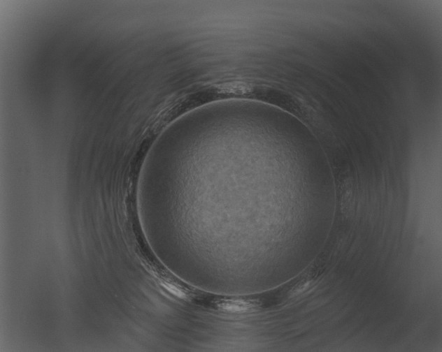 X0000050650229200506151618