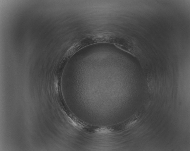 X0000050650231200506151618