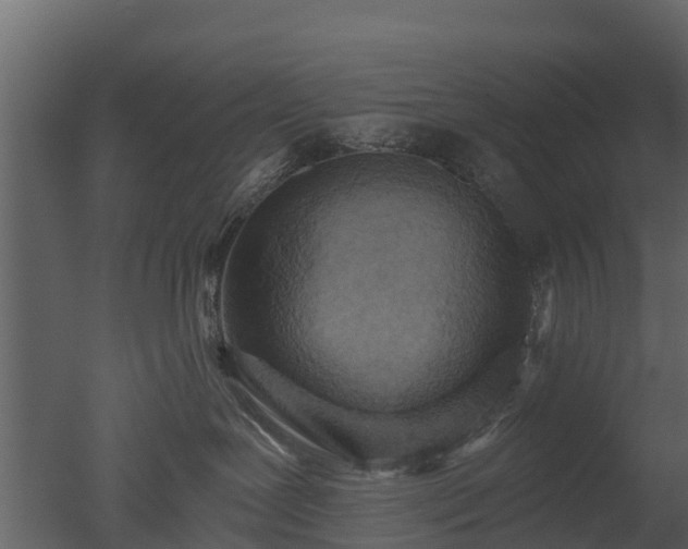 X0000050650239200506151618