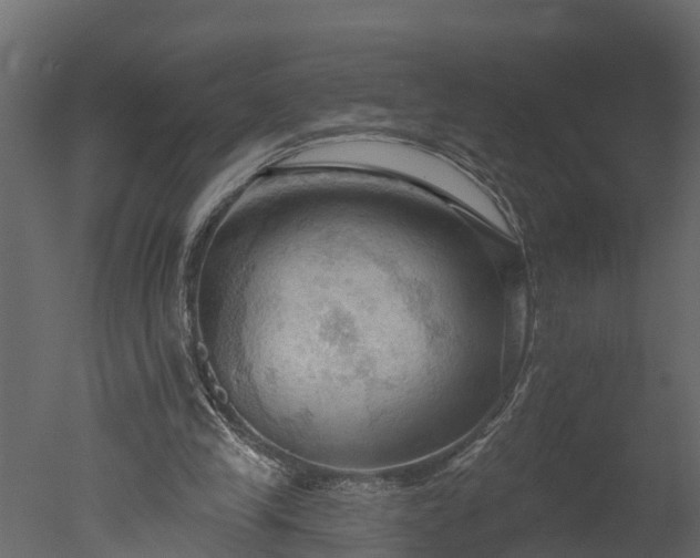 X0000050650245200506151617