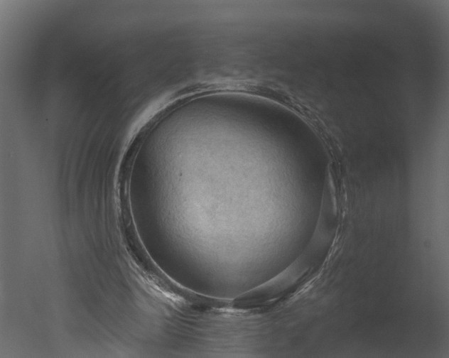 X0000050650246200506151617