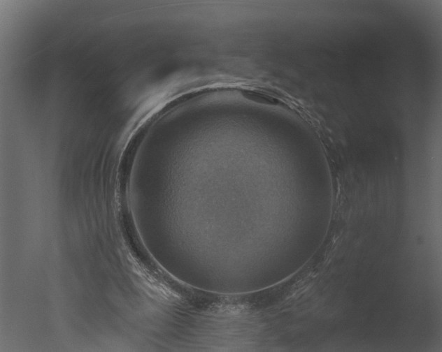 X0000050650247200506151617