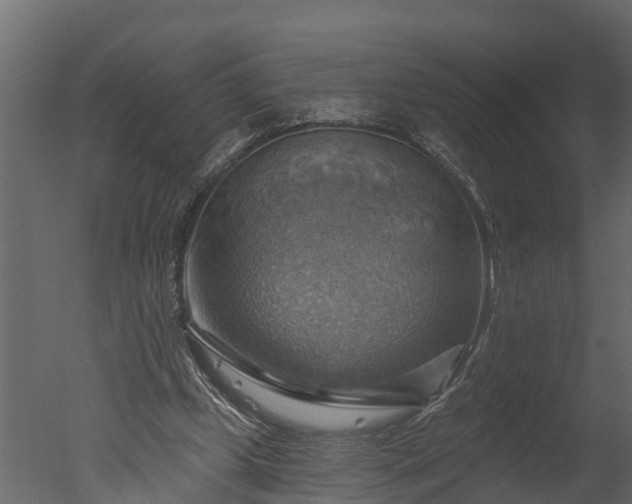 X0000050650249200506151617