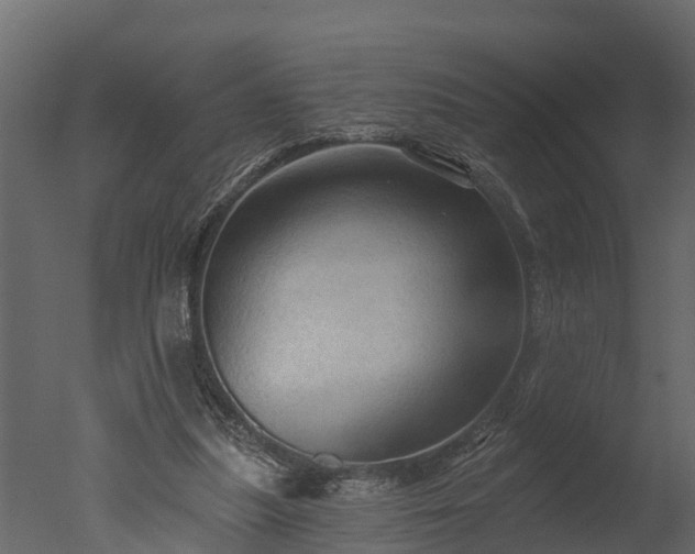 X0000050650251200506151617