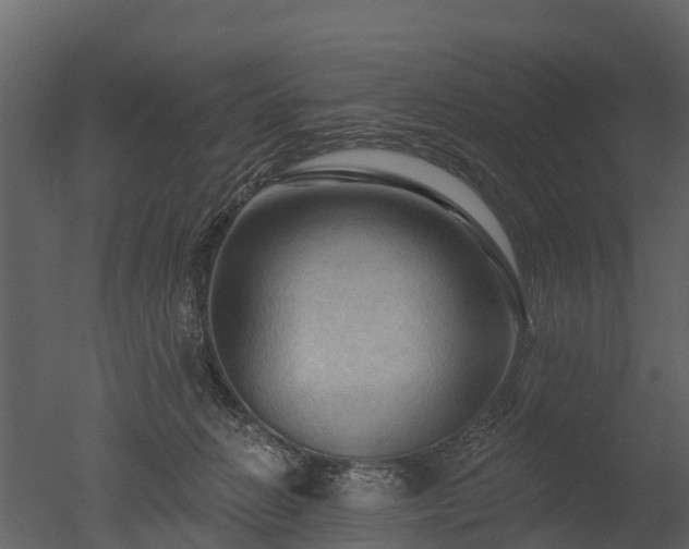 X0000050650270200506151618