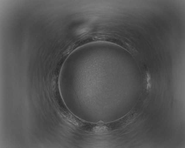 X0000050650271200506151618