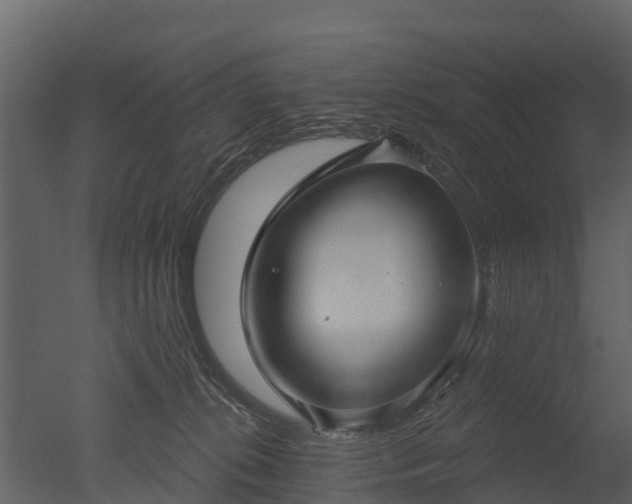X0000050650276200506151618