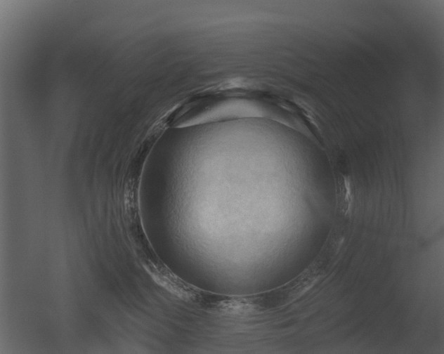 X0000050650284200506151618