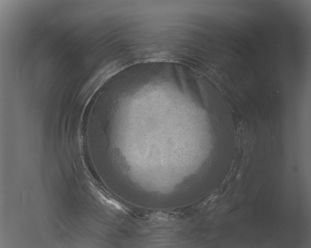 X0000050650290200506151617