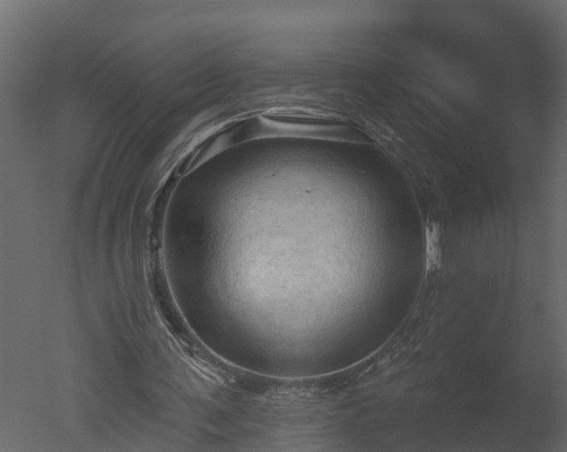 X0000050650291200506151617