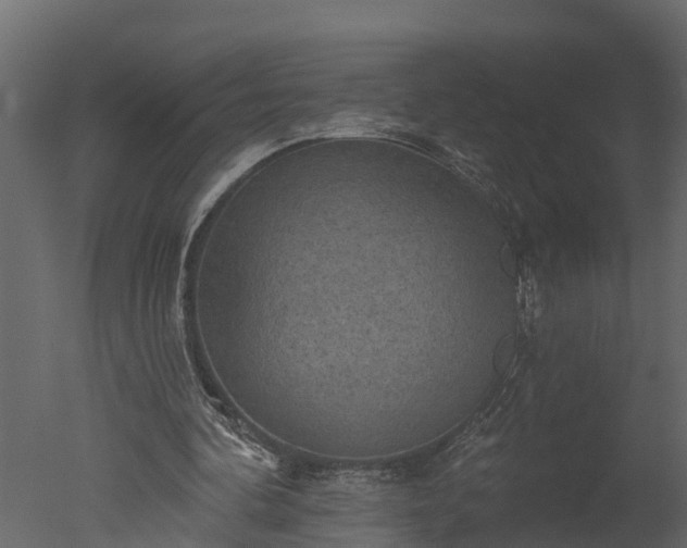 X0000050650292200506151617