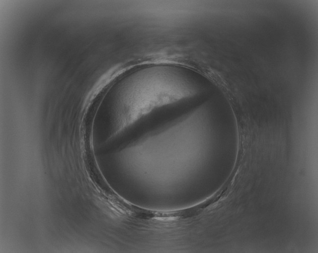X0000050650295200506151617