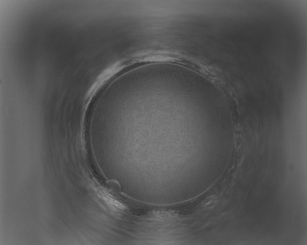X0000050650296200506151617