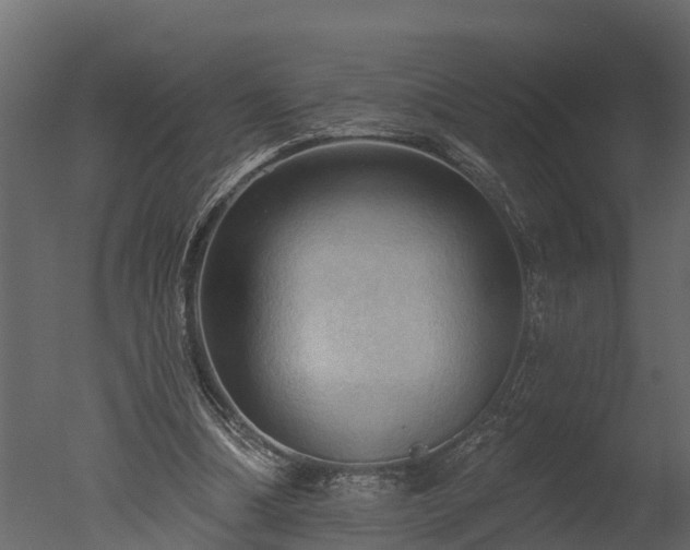 X0000050650298200506151617