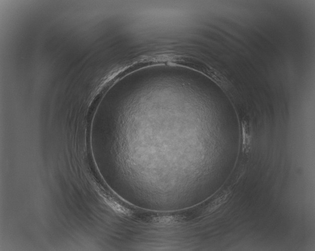 X0000050650301200506151617