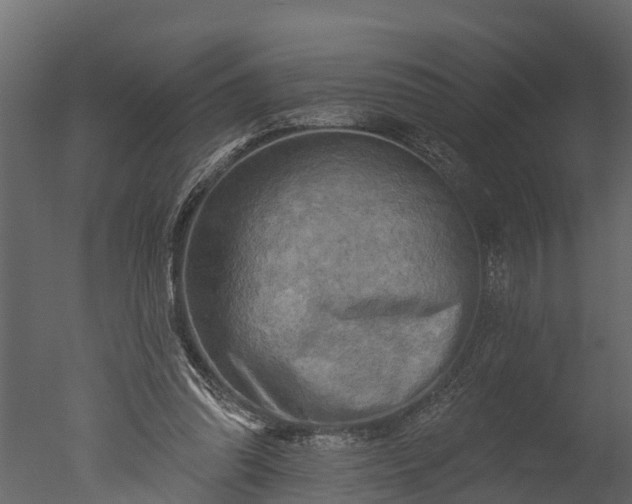 X0000050650302200506151617