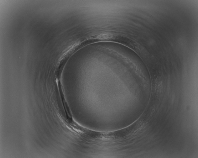 X0000050650303200506151617
