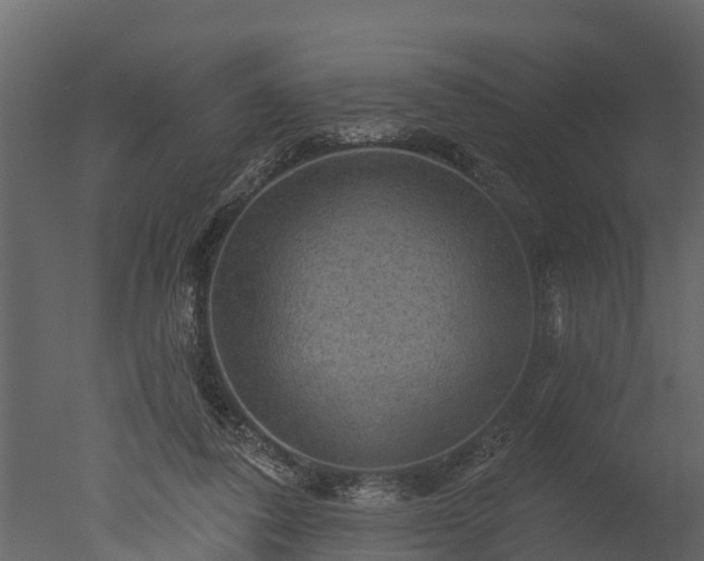 X0000050650308200506151617